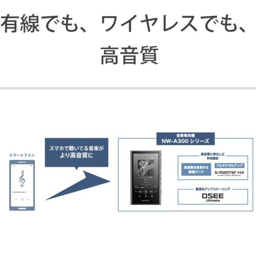 Sony Digital Audio Player Nw-A307 B A 64Gb