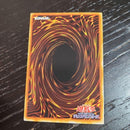 Yu-Gi-Oh! Ocg Duel Monsters (Japanese) Pc1