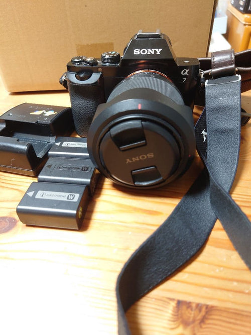 Mirrorless Interchangeable Lips Sony 7 3+