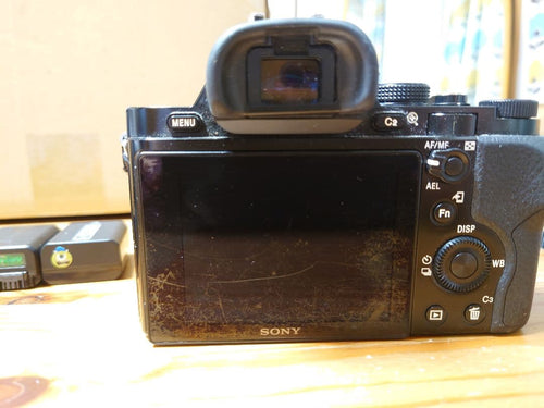 Mirrorless Interchangeable Lips Sony 7 3+