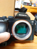 Mirrorless Interchangeable Lips Sony 7 3+
