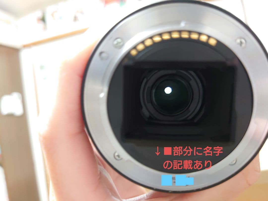 Mirrorless Interchangeable Lips Sony 7 3+