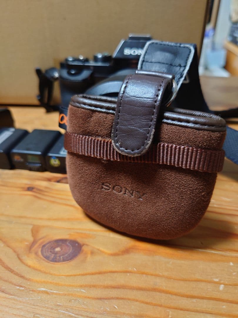 Mirrorless Interchangeable Lips Sony 7 3+
