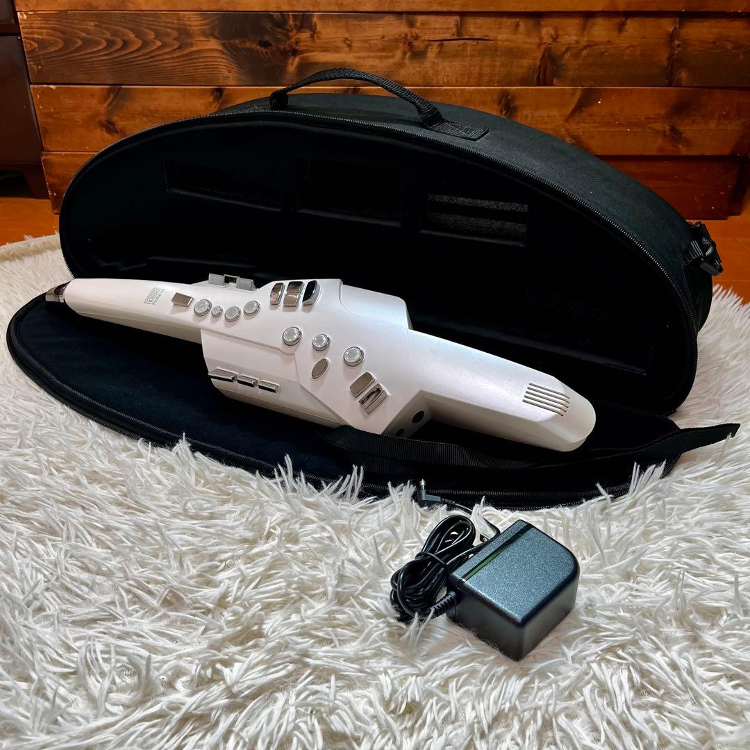 Roland Saxophones 24 Ae-10 Aerophone