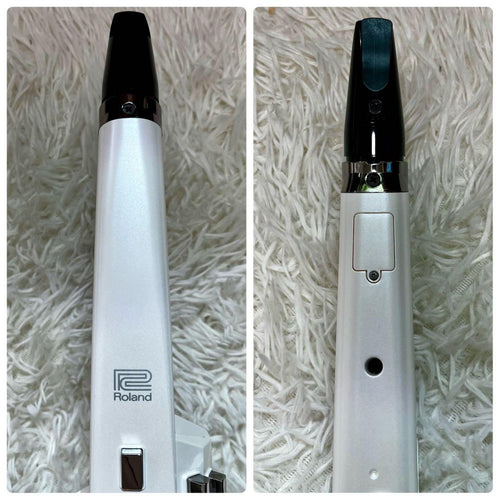 Roland Saxophones 24 Ae-10 Aerophone