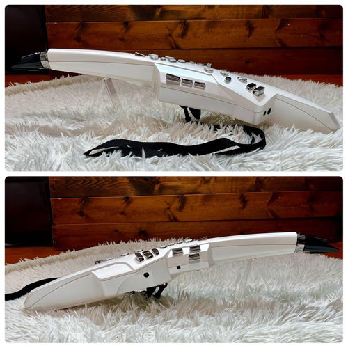 Roland Saxophones 24 Ae-10 Aerophone