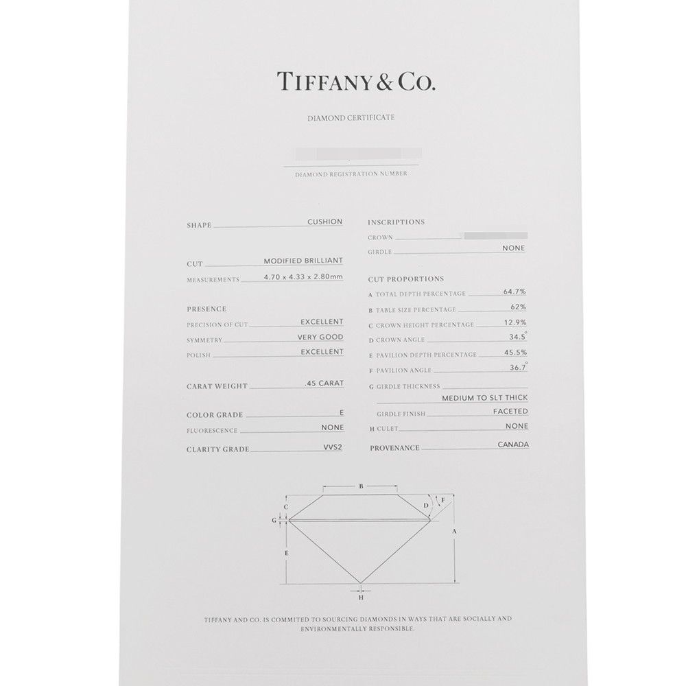 Tiffany Ring 0.45Ct/ 0.32Ct Pt950 13