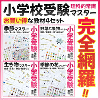 Educational Toys