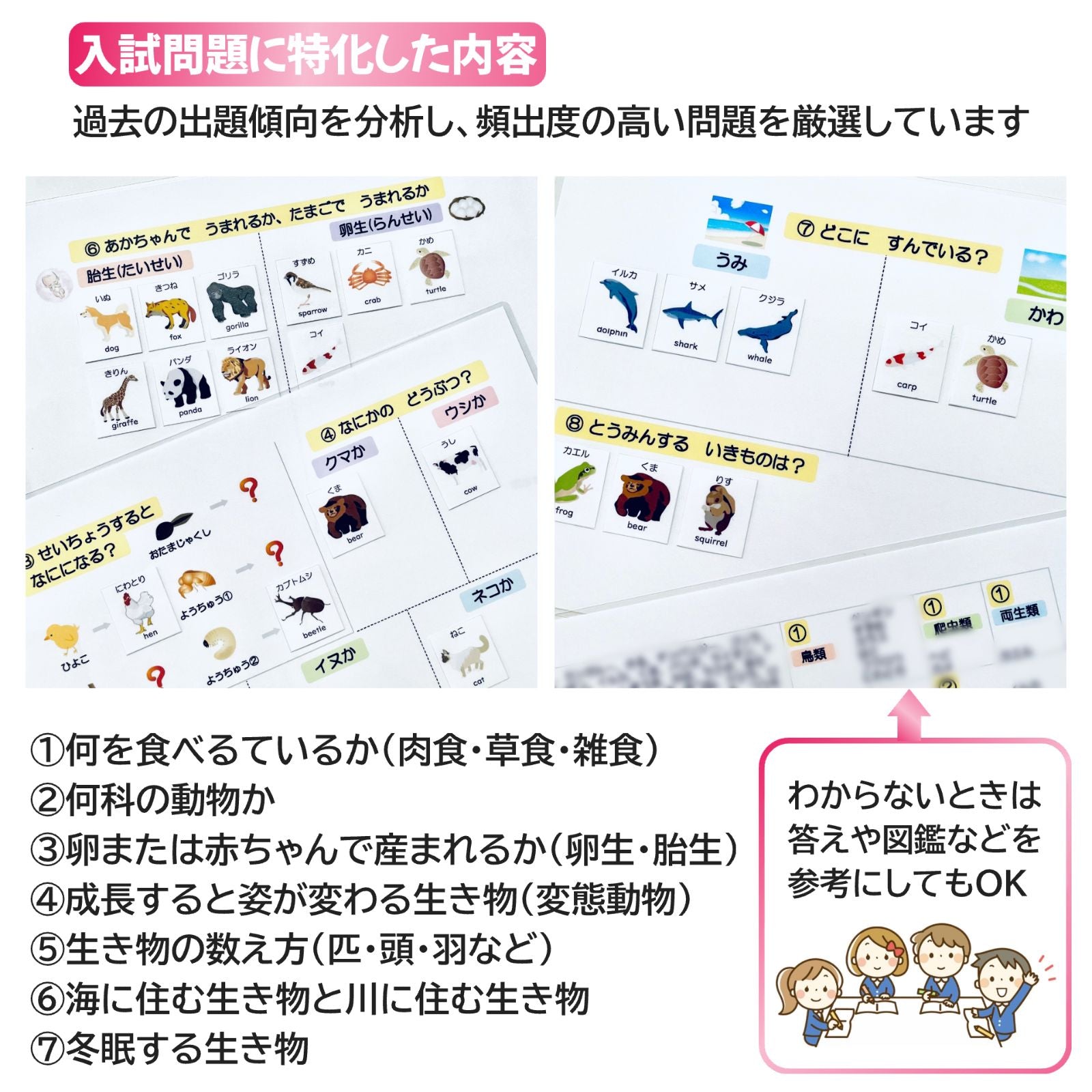 Educational Toys