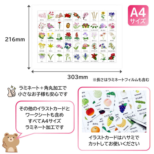 Educational Toys
