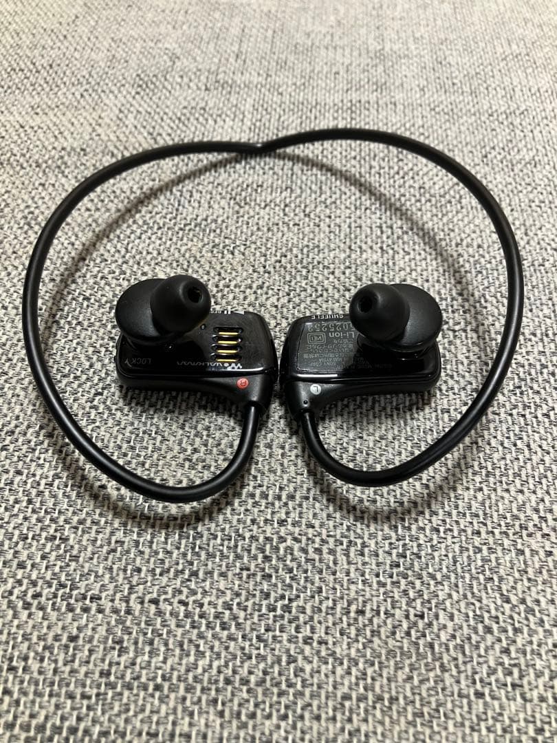 Sony Digital Audio Players Walkman Nwd-W273
