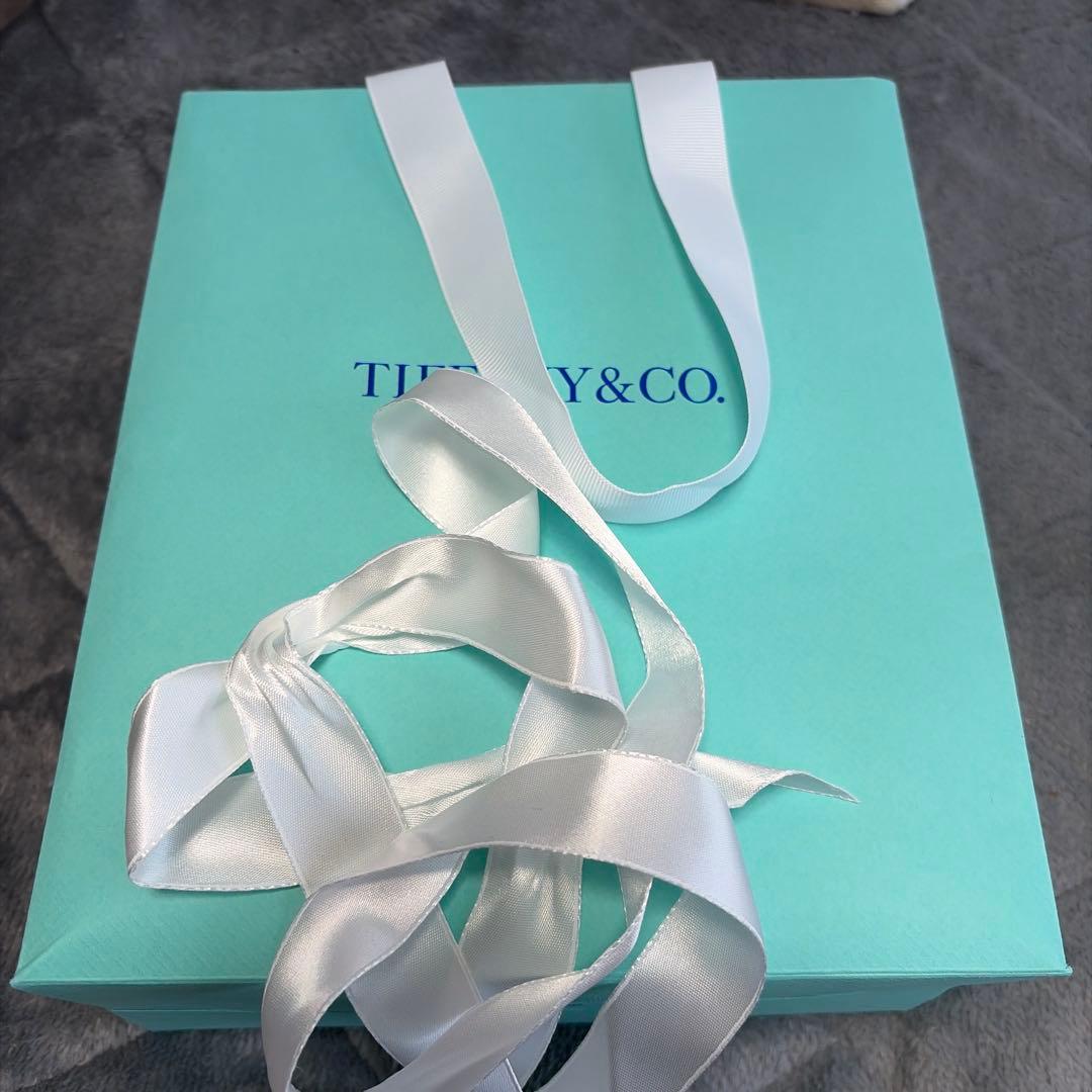 Tiffany Necklaces