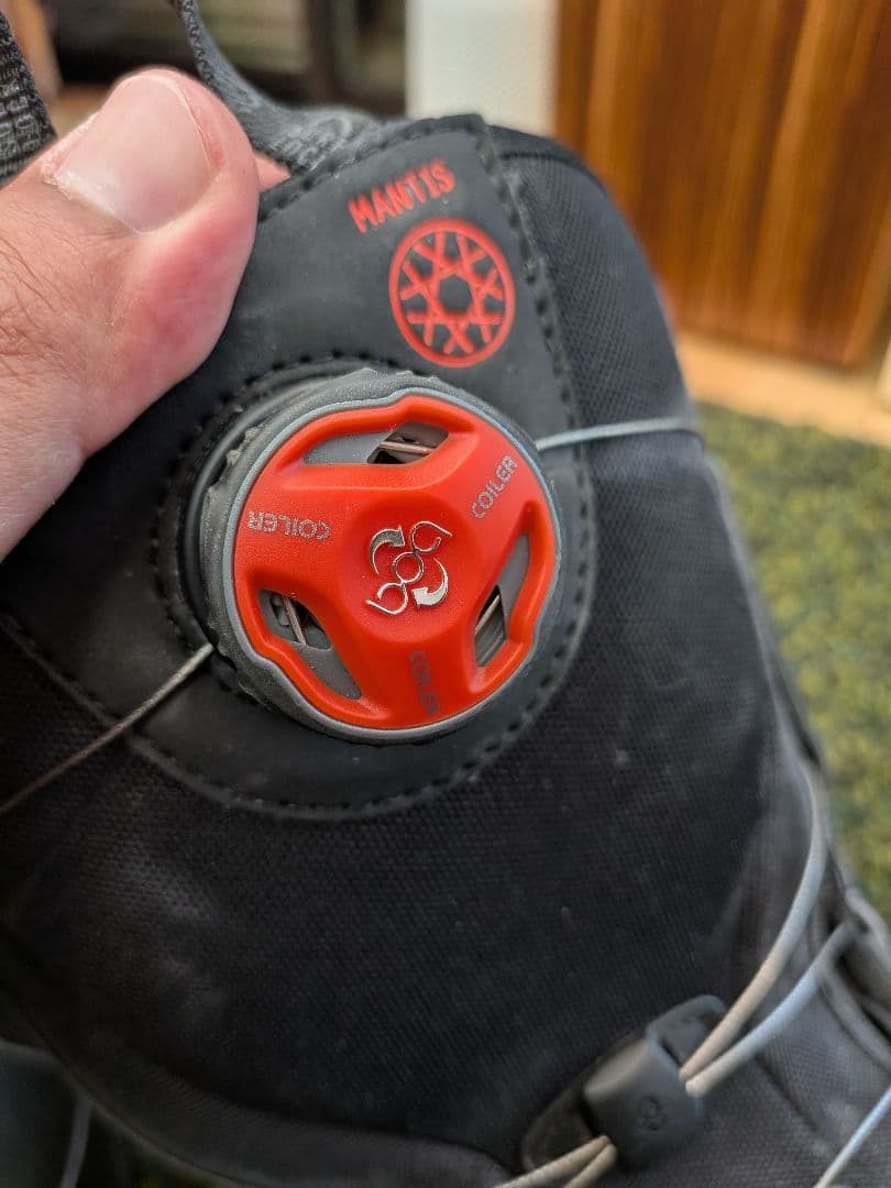 Salomon Boots (Men) Mantis