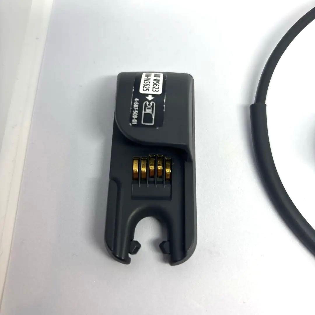 Sony Wireless Earphone Nw-Ws623 Bm 4Gb