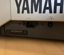 Yamaha Others Eos B900