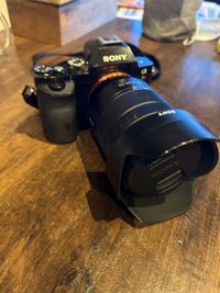 Sony Mirrorless Interchangeable Lips 7R 17877