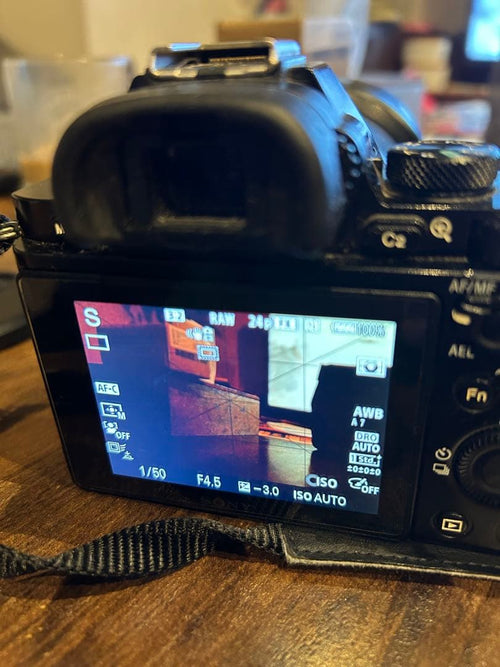 Sony Mirrorless Interchangeable Lips 7R 17877