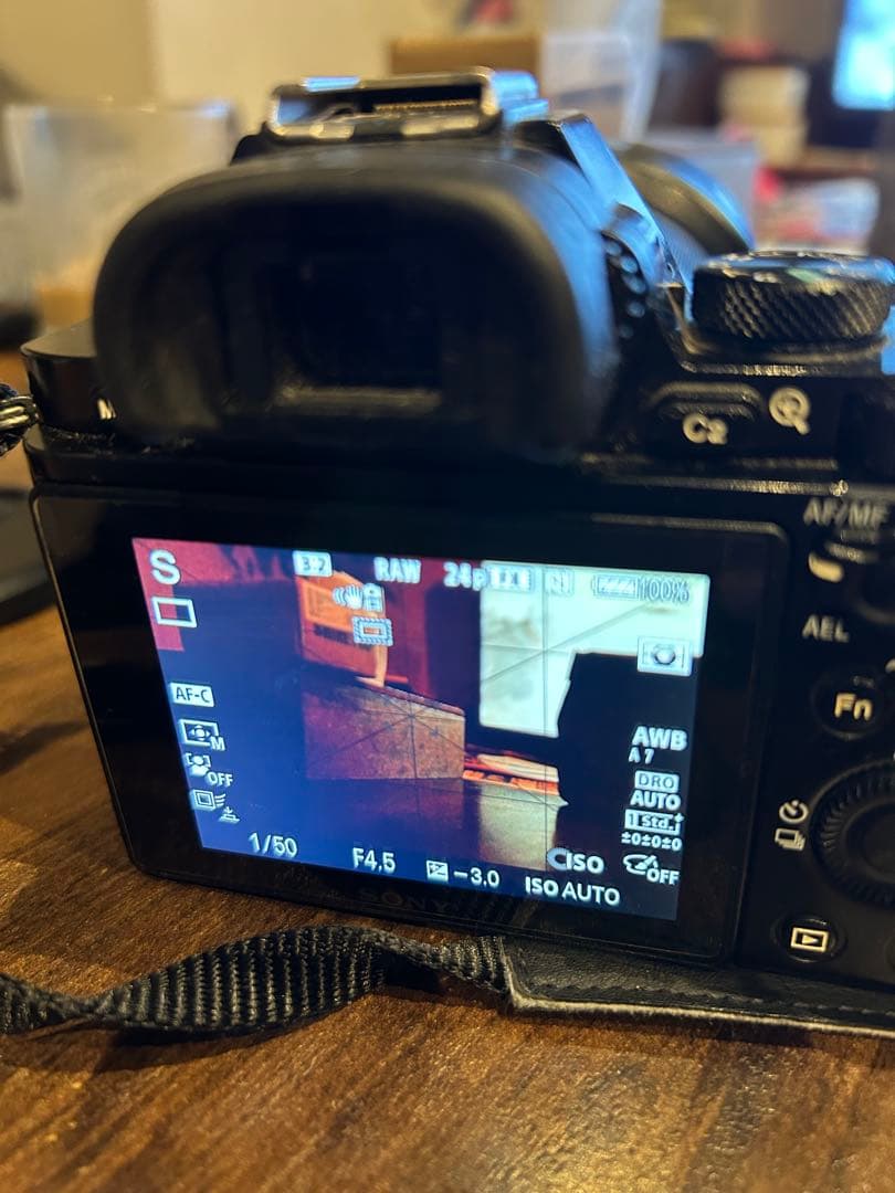 Sony Mirrorless Interchangeable Lips 7R 17877