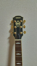 Yamaha Acoustic Guitars Cj-12