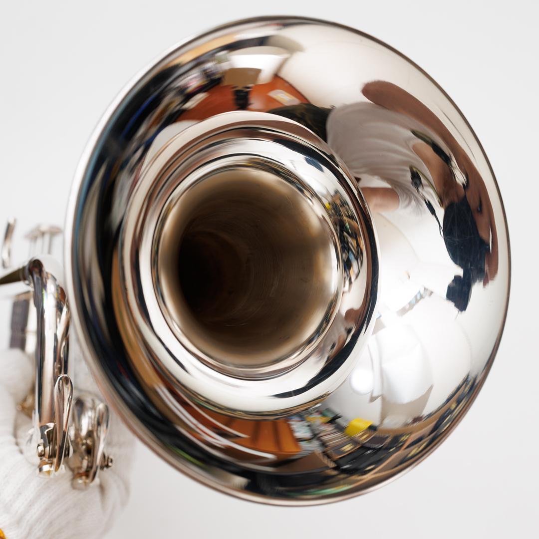 Yamaha Trumpets Ytr-4335Gs (520)