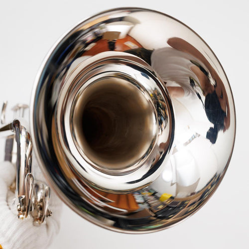 Yamaha Trumpets Ytr-4335Gs (520)
