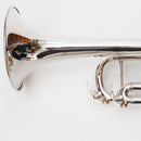 Yamaha Trumpets Ytr-4335Gs (520)
