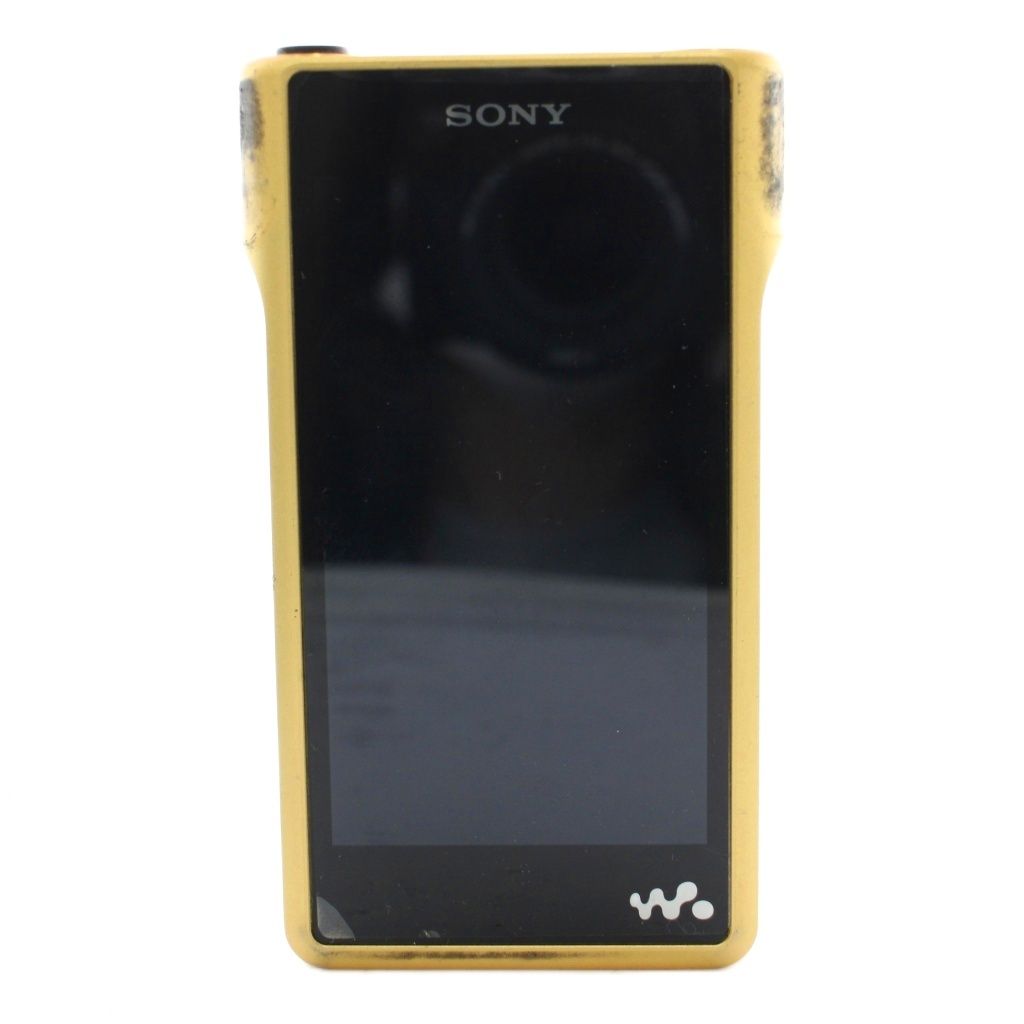 Other Others Sony Walkman S-Master Hx 256Gb Nw-Wm1Z /Xz Gy18