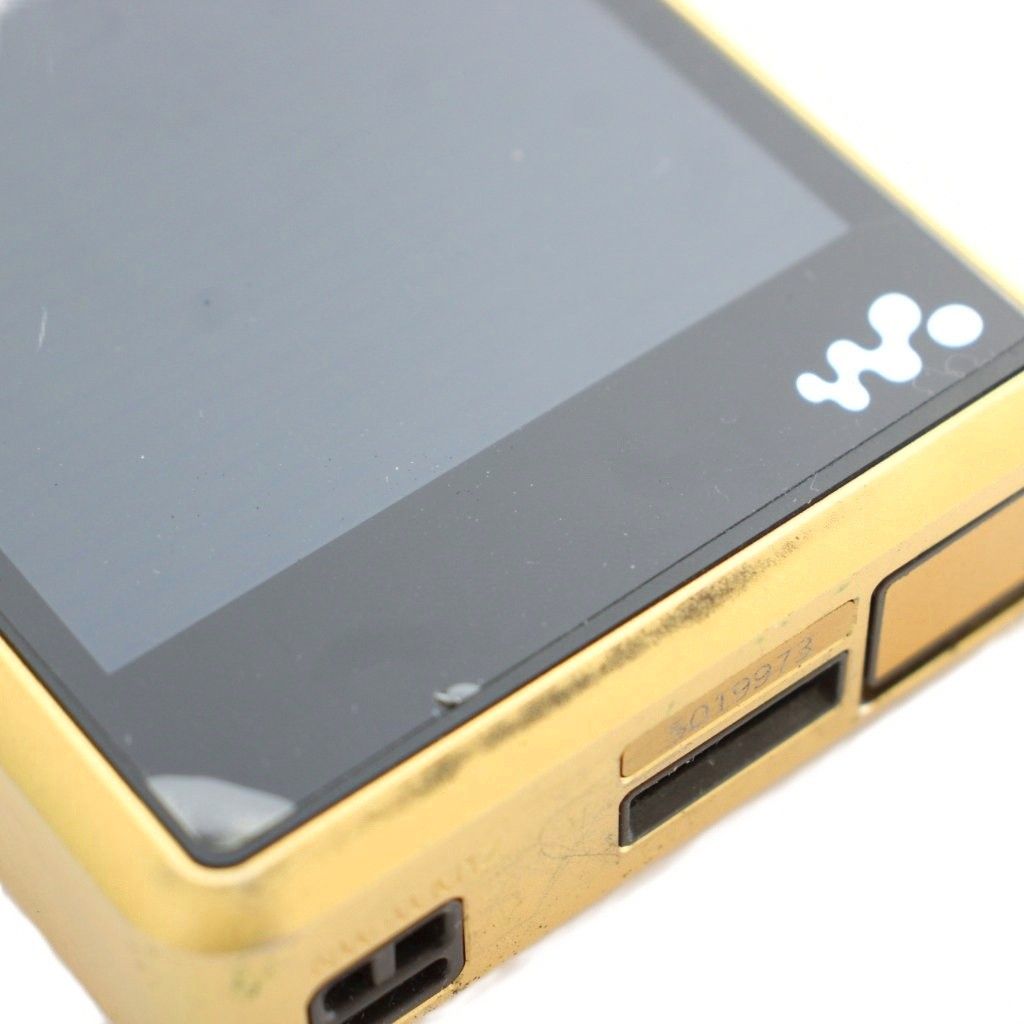 Other Others Sony Walkman S-Master Hx 256Gb Nw-Wm1Z /Xz Gy18
