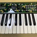 Korg Others X50-Cf Edition