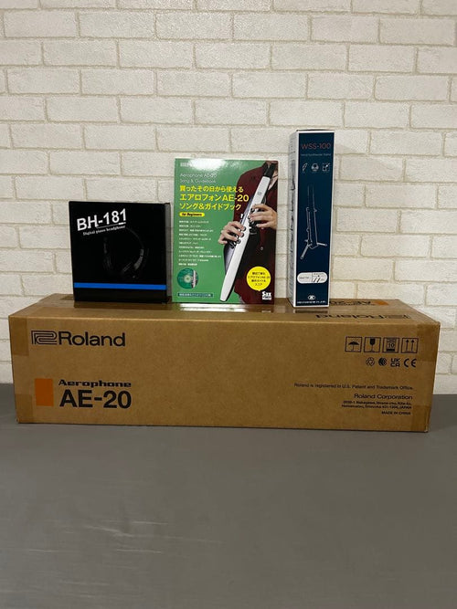 Roland Others Ae-20