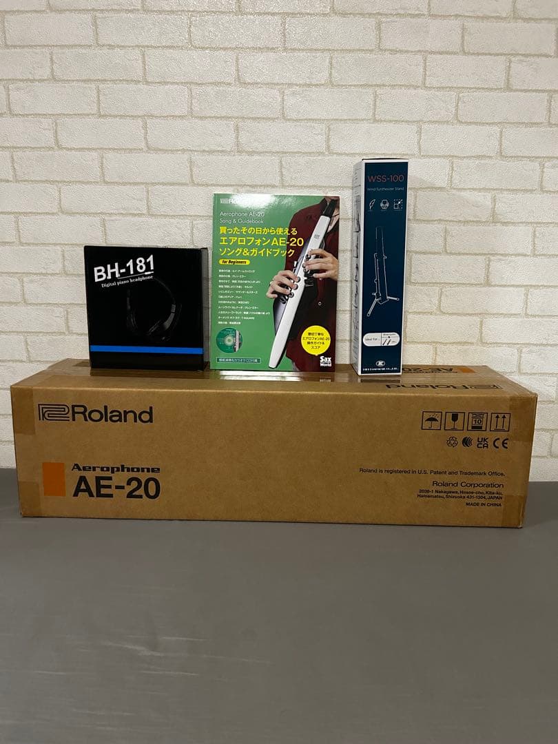 Roland Others Ae-20