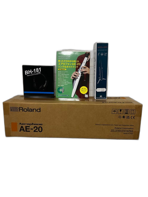 Roland Others Ae-20