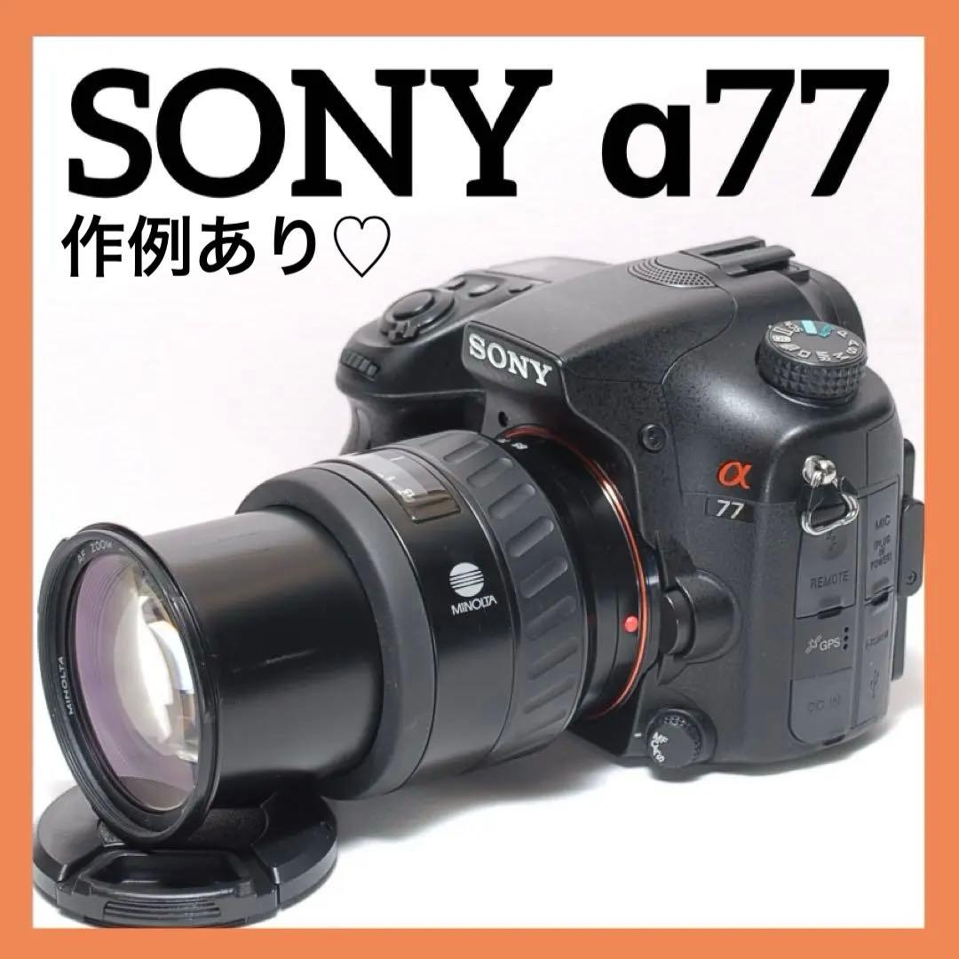 Sony Digital Slr 77