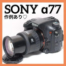 Sony Digital Slr 77