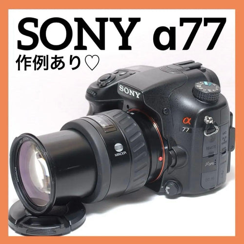 Sony Digital Slr 77