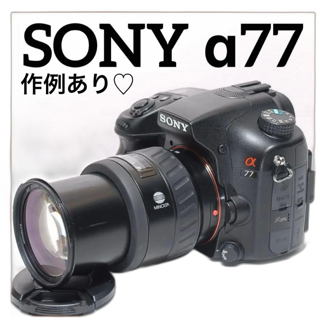 Sony Digital Slr 77