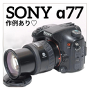 Sony Digital Slr 77