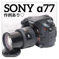 Sony Digital Slr 77