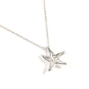 Tiffany Necklace