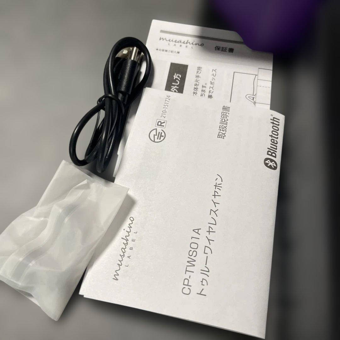 Onkyo Wireless Earphones Cp-Tws01A Bad Ass Temple