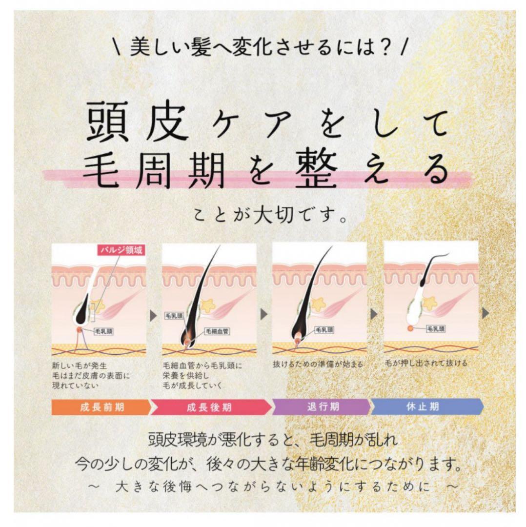 Optimystik Hair Growth Scalp Care Rb