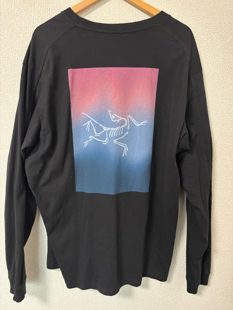 Arc'Teryx T-Shirts Kragg Cotton Heatmap Ls M'S