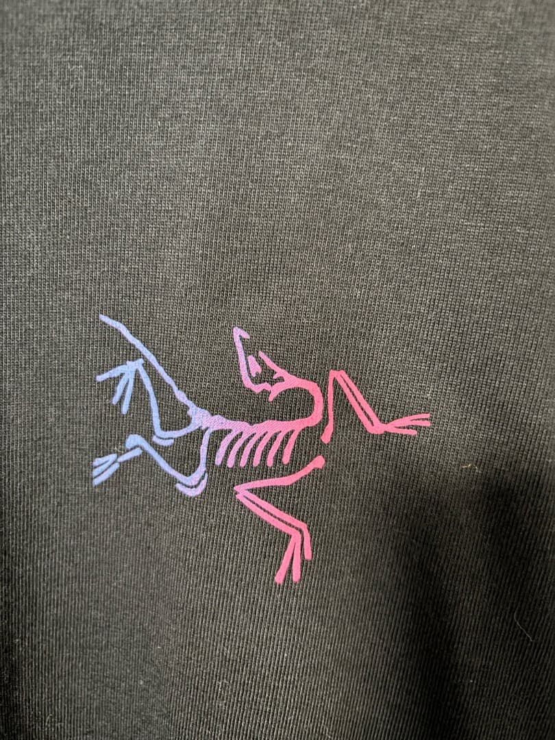Arc'Teryx T-Shirts Kragg Cotton Heatmap Ls M'S