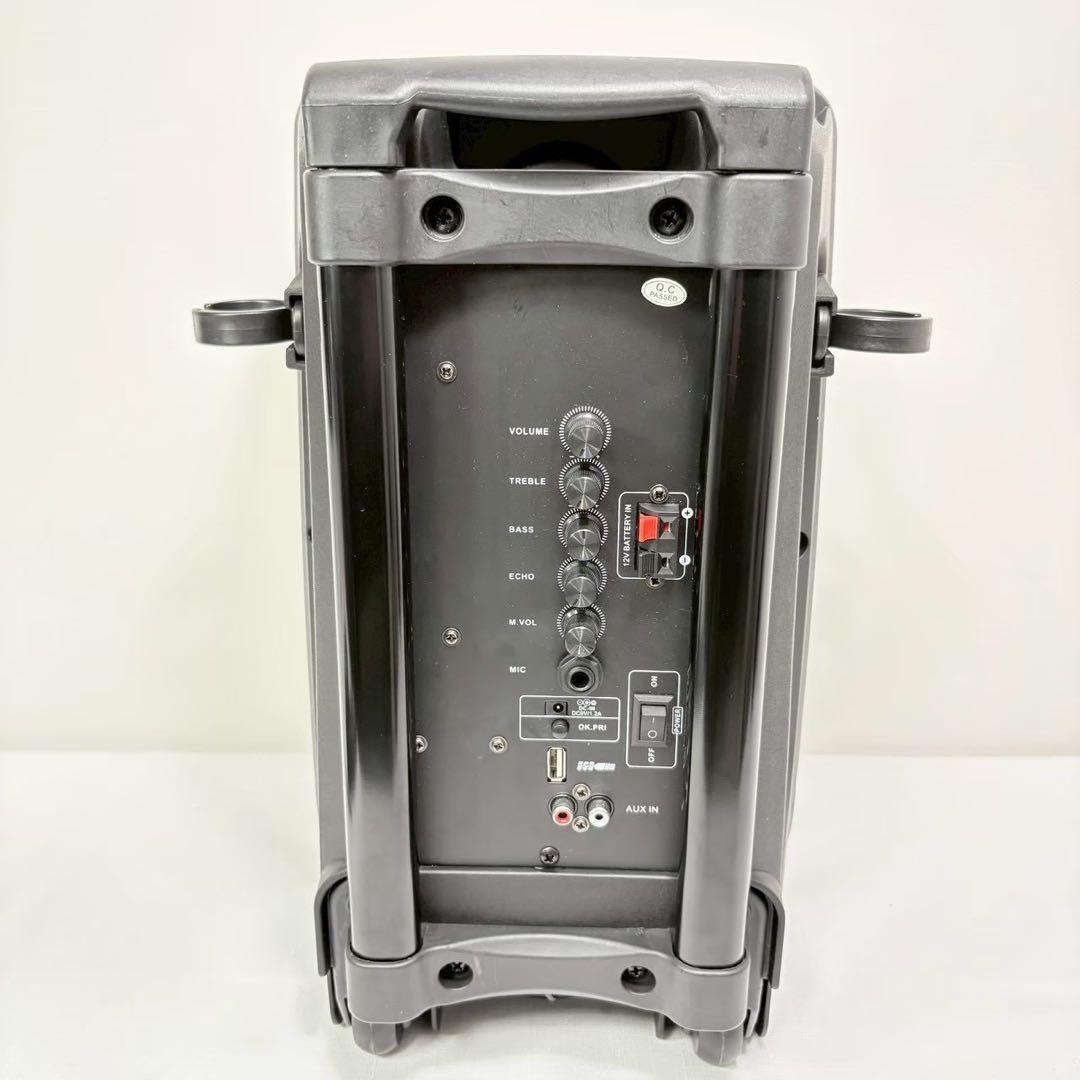 Ciconia Speakers Ctx08Bs