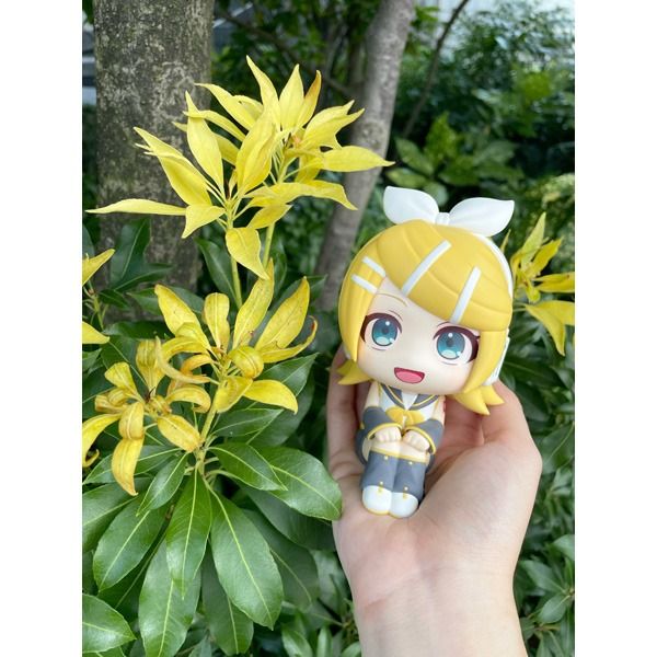 Megahouse Others