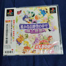 Soft Playstation