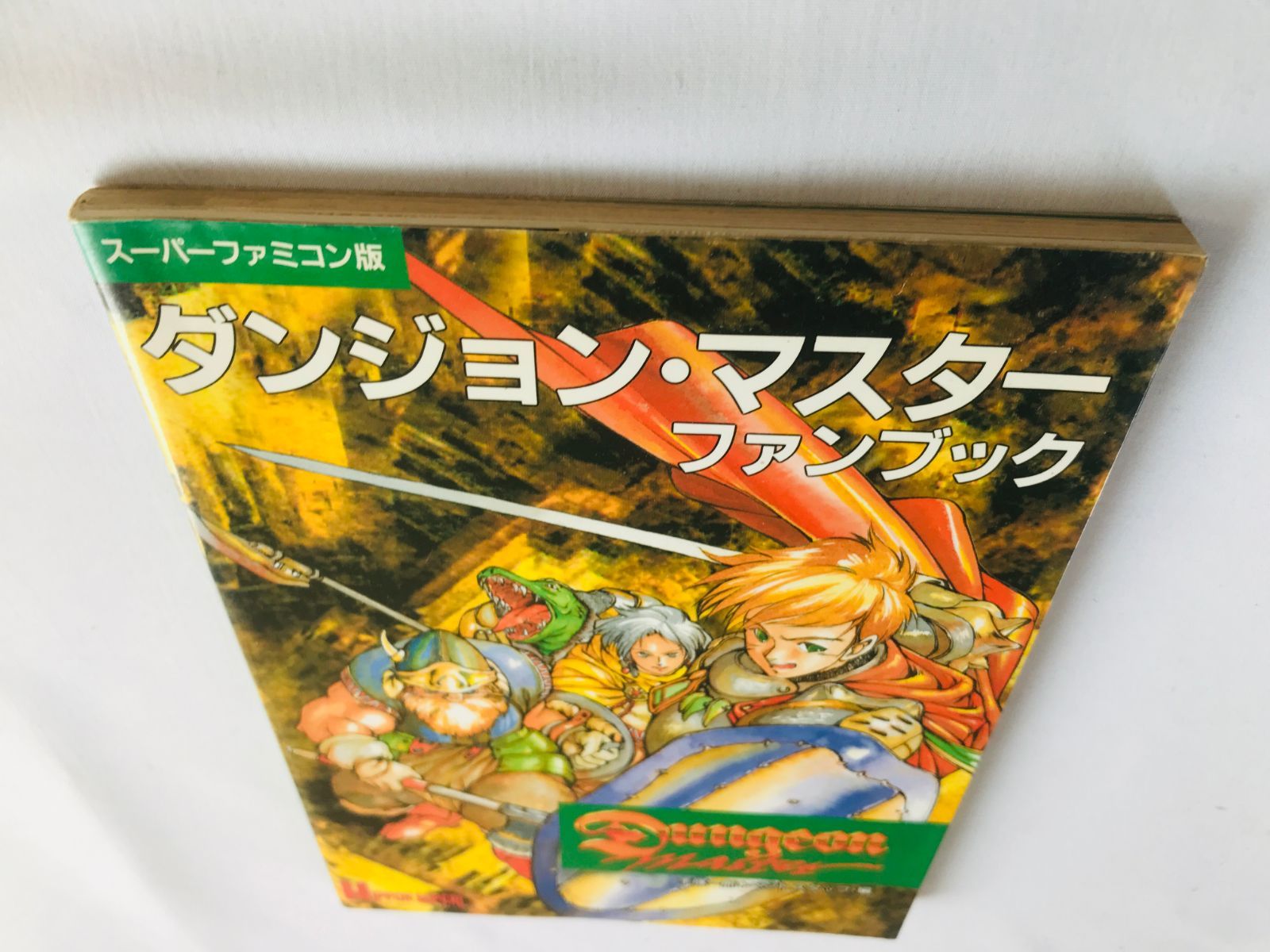 Game Capture Book Sfc Dungeon Master Fan Guide Strategy First Edition