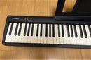 Roland Keyboards Digital Pianos Fp-10 2022