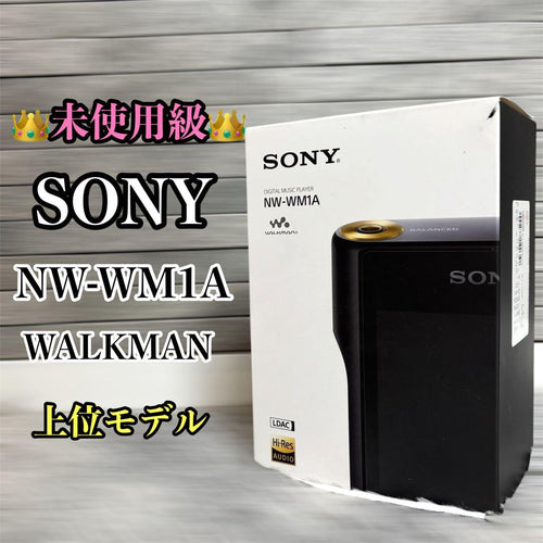 Sony Digital Audio Players Walkman Nw-Wm1A 128Gb