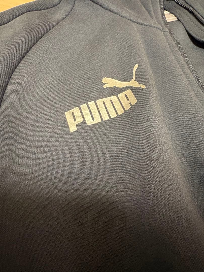 Puma Hoodie Psv